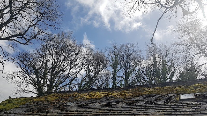 Au Cul du cheval - calèche - photo 3