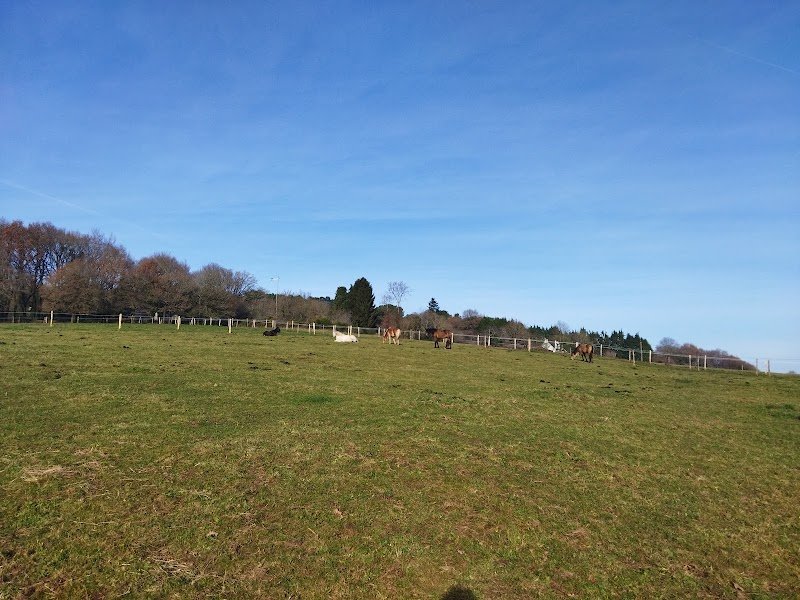 Écuries de Kergunu - photo 2