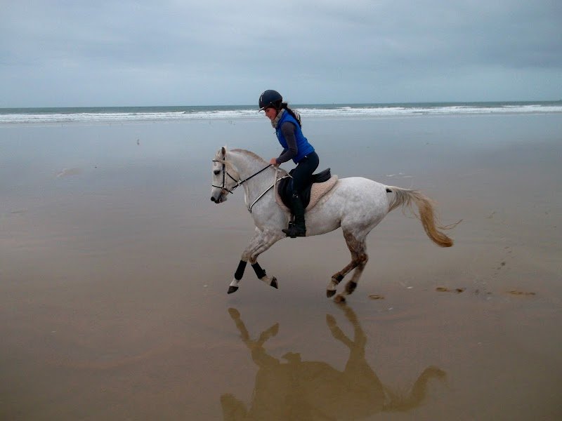 Kezeg Argoat . Élevage de chevaux - Gîte rural - photo 2