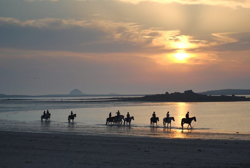 CENTRE ÉQUESTRE de TROUZILIT - photo 2