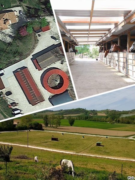 Écurie la Feuillée - photo 3