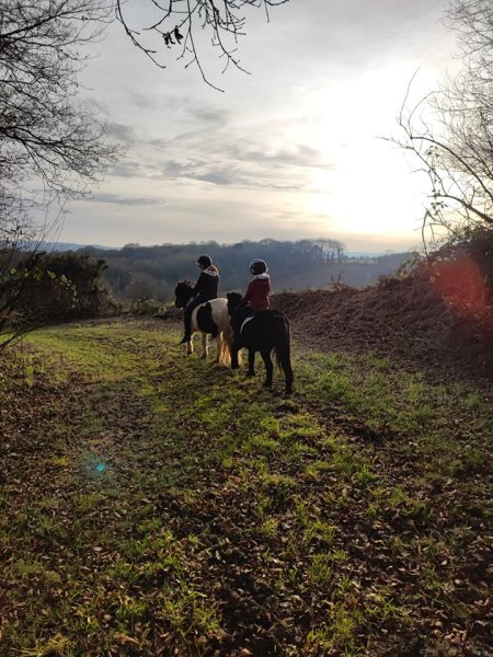 Les Ecuries d'Armorique - photo 1