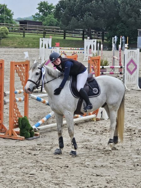 Haras du domaine - photo 2