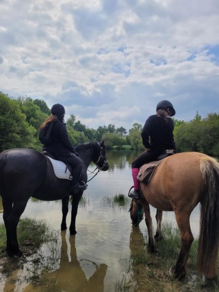 LE TY HARAS - photo 1
