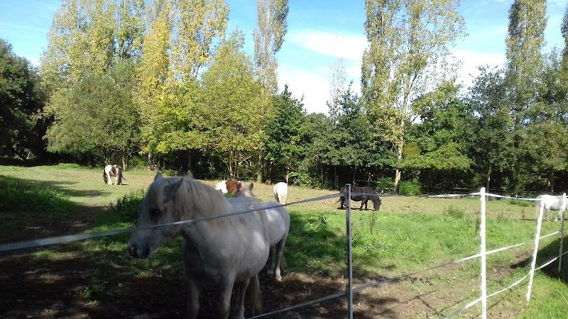 LE TY HARAS - photo 3