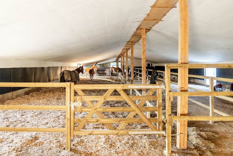 Les Écuries de Jo'ïa - photo 2