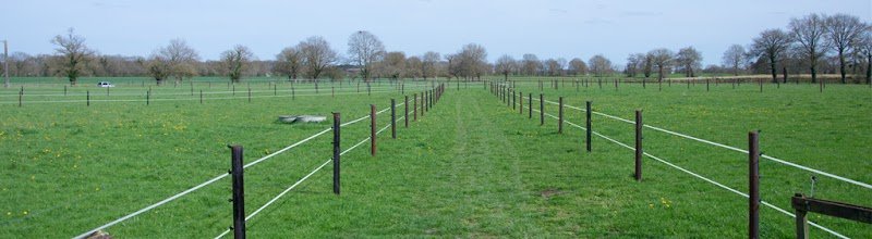 Earl les Ecuries Du Chene Day - photo 2