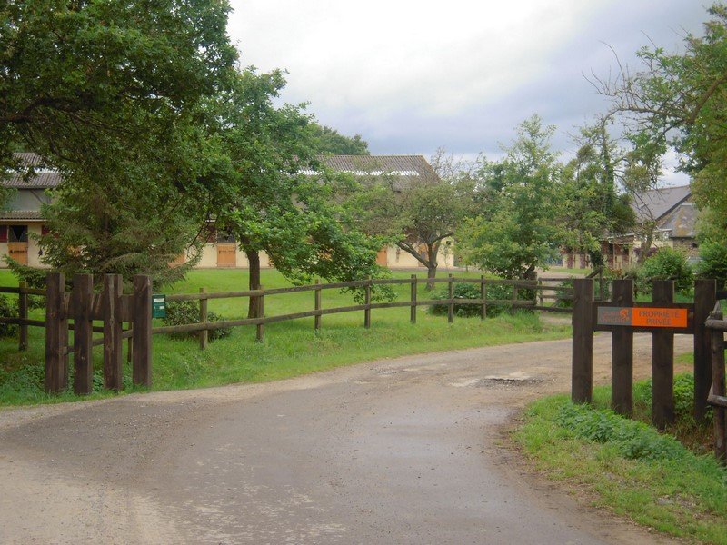 Earl les Ecuries Du Chene Day - photo 3