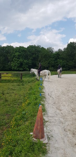 Centre équestre du bois de Soeuvres