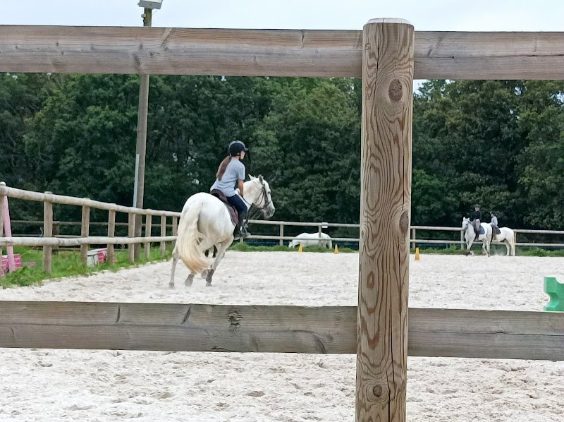 Centre équestre du bois de Soeuvres - photo 2