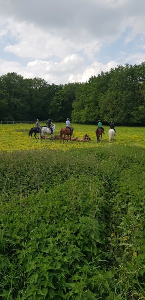 Centre équestre du bois de Soeuvres - photo 3