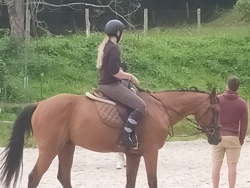 Centre Equestre De Montaubert - Écurie Bourdon - photo 2