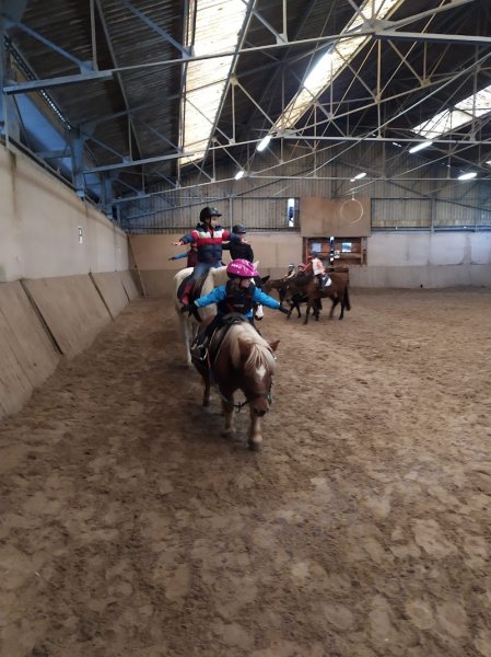 Centre Equestre De Montaubert - Écurie Bourdon - photo 3