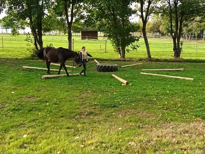 Ecurie Equi'Ecoute - photo 3