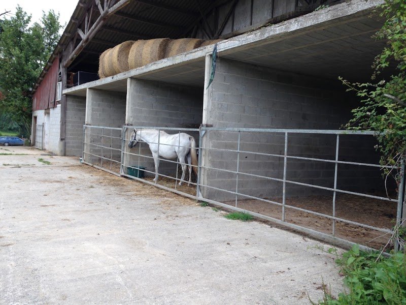 Ecurie du Fretay - photo 1