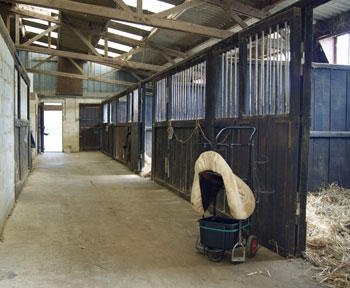 Ecurie du Fretay - photo 2