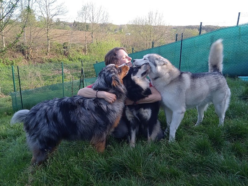 Pension Art'nimale Landean