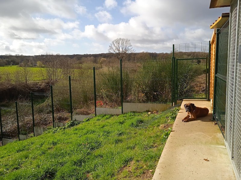 Pension Art'nimale Landean - photo 3