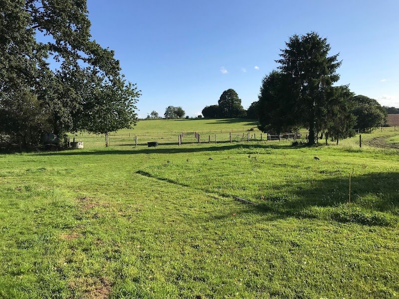 écurie de Vautorte - pension pour chevaux - photo 2