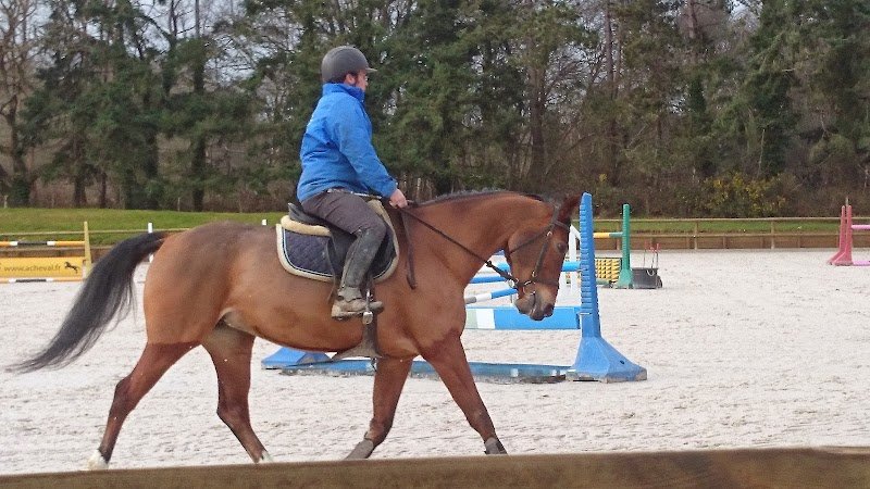 Ecurie Cook - photo 2