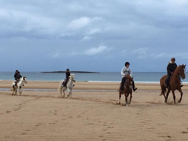 Ecurie Cook - photo 3