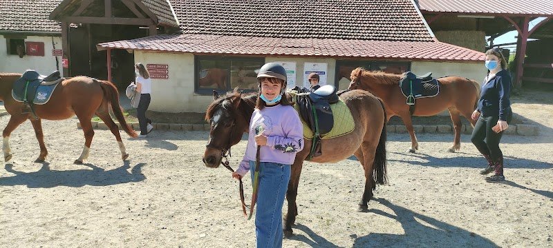 Centre Equestre Ecuries d'Estran - photo 2