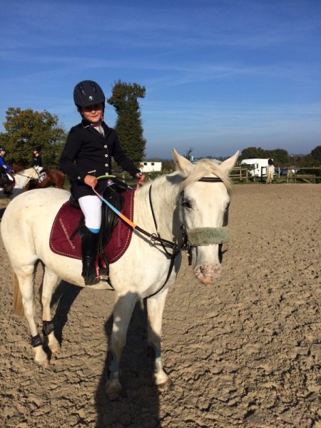 Centre Equestre Ecuries d'Estran - photo 3
