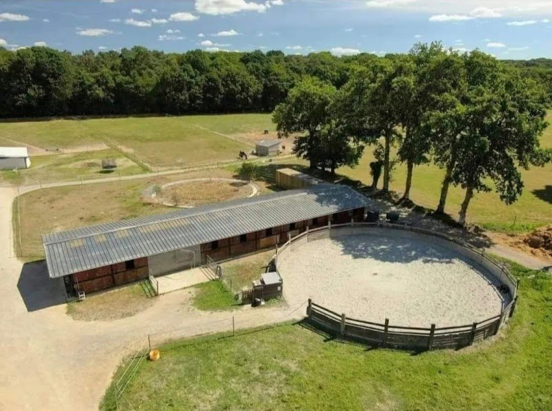 L'Orée Centre Équestre - photo 3
