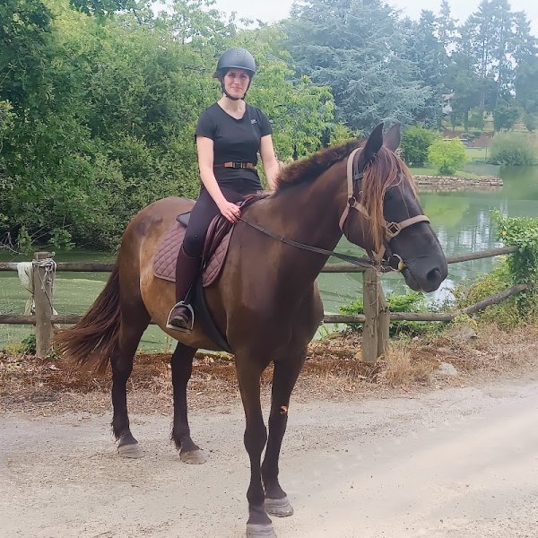 Haras de Bretagne - photo 2