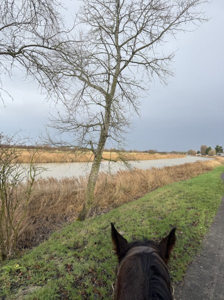Haras de Bretagne - photo 3