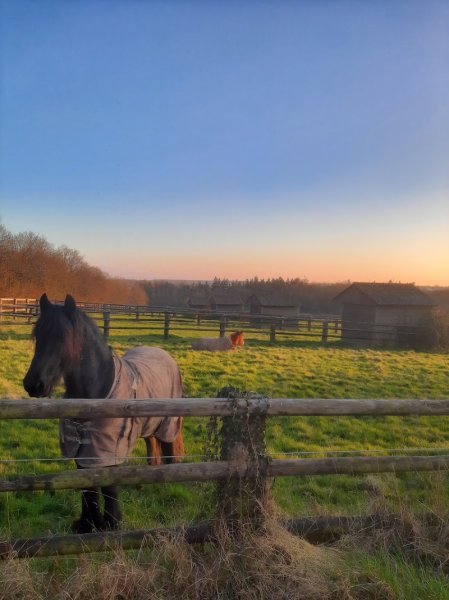 Domaine équestre du Plessis - photo 3