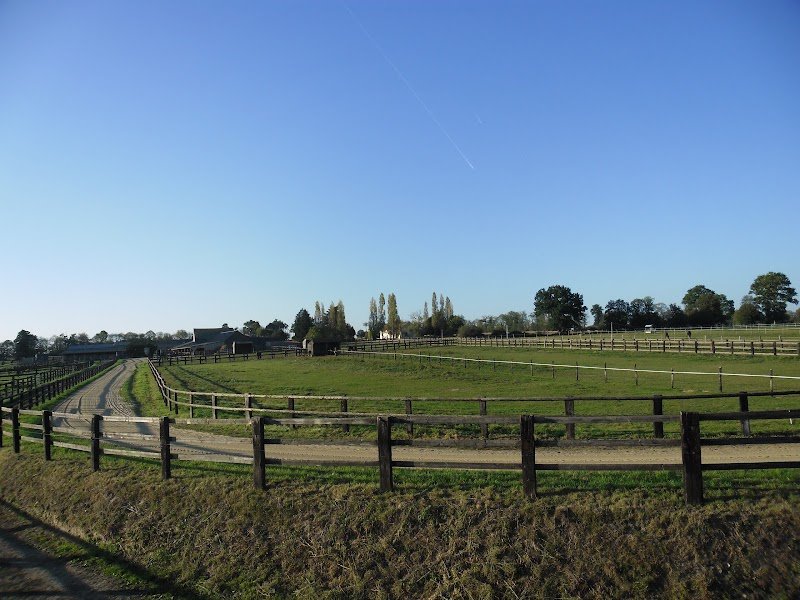 Le Haras Du Boulay - photo 1