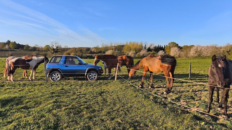 Les écuries de la Valière : GARIN Mélina EI - photo 2