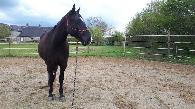Ecurie de la Cherbonnais - photo 1
