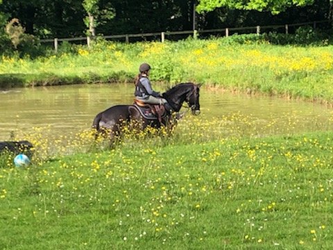 Poney Club du Lierre - photo 2