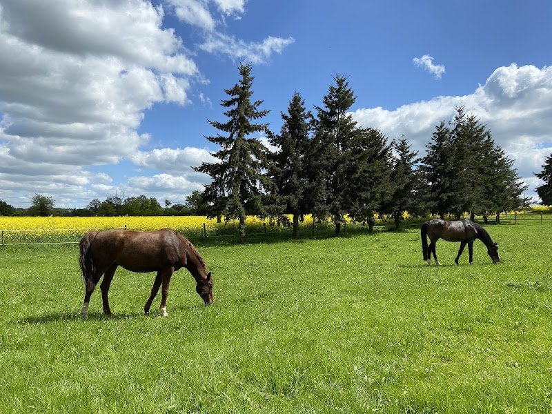 Les Ecuries de La Beguinais - photo 2