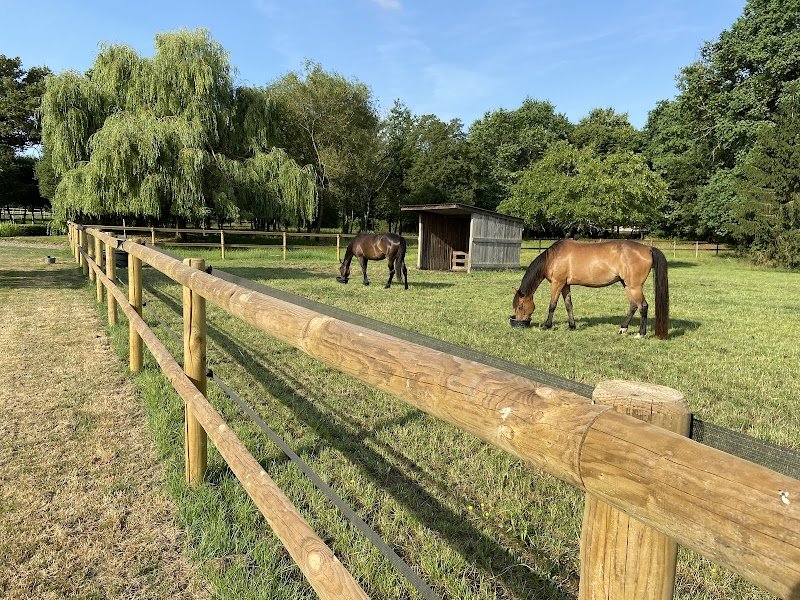 Les Ecuries de La Beguinais - photo 3