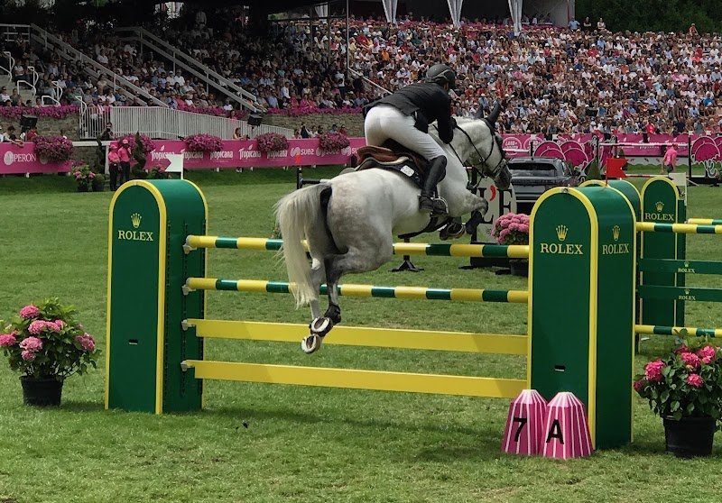 Centre Equestre du Val Porée - centre équestre Docteur André Guguen - photo 3