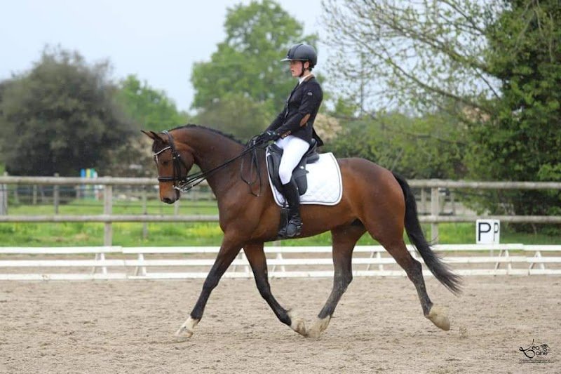 Ecurie Saint Melaine - photo 2