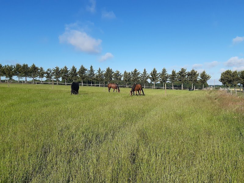 Ecurie Saint Melaine - photo 3