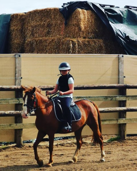 Breizh Horse Center - photo 1