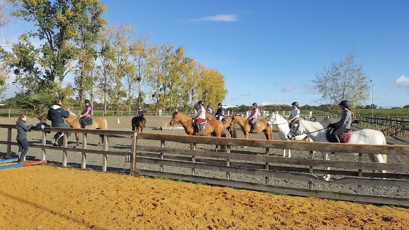 Breizh Horse Center - photo 2