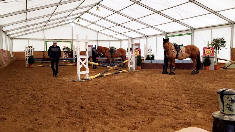 Breizh Horse Center - photo 3