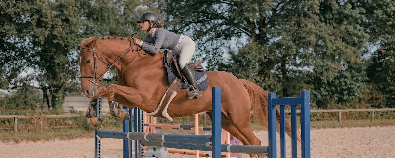 Ecurie HorseOne - photo 1