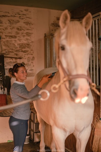 Ecurie HorseOne - photo 3