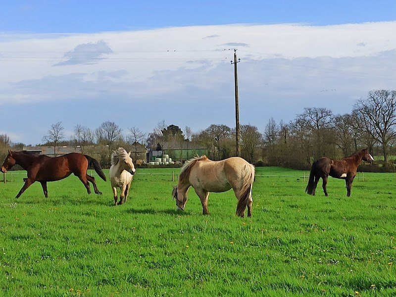 Ecurie du Bio Virage