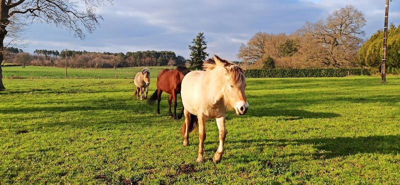 Ecurie du Bio Virage - photo 2
