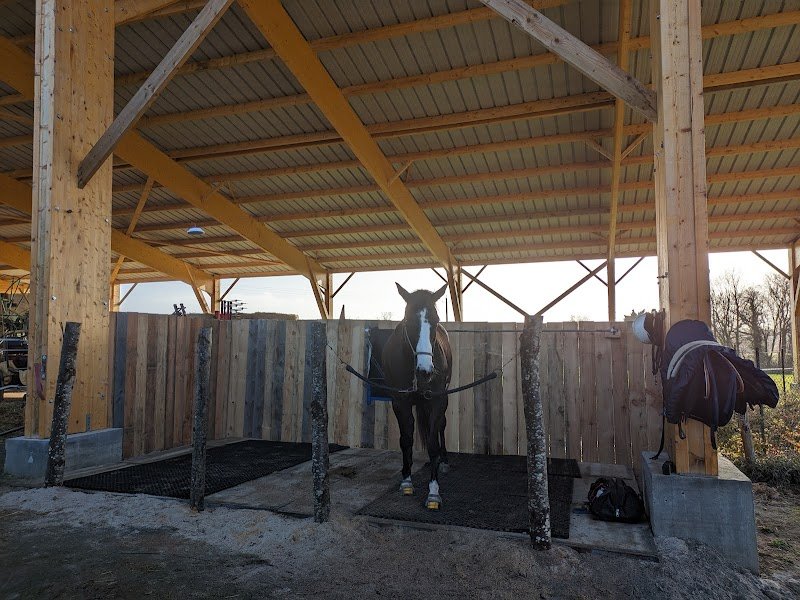 Ecurie du Bio Virage - photo 3