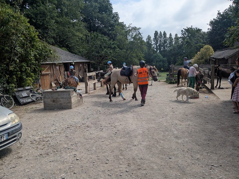 Ferme Équestre les poneys de la Jouv