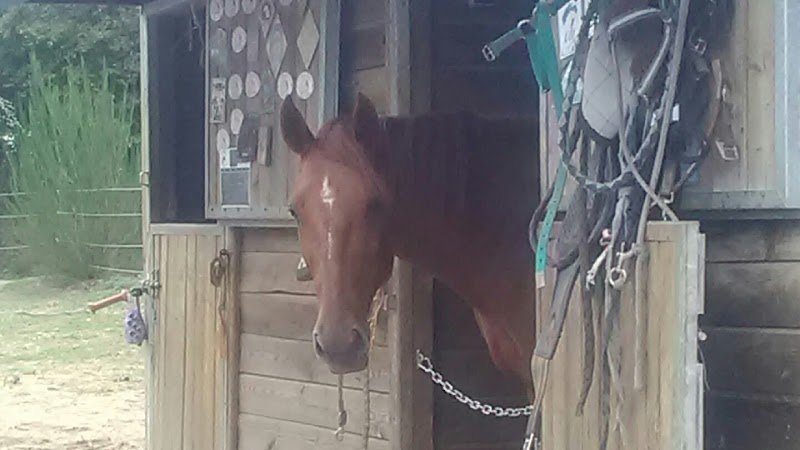 Écurie Ker Laëti - photo 1